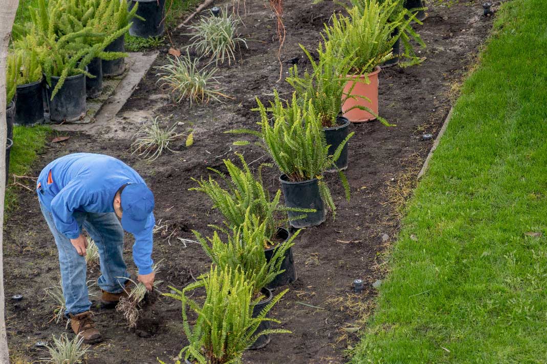 How does changing your landscaping affect your irrigation system?