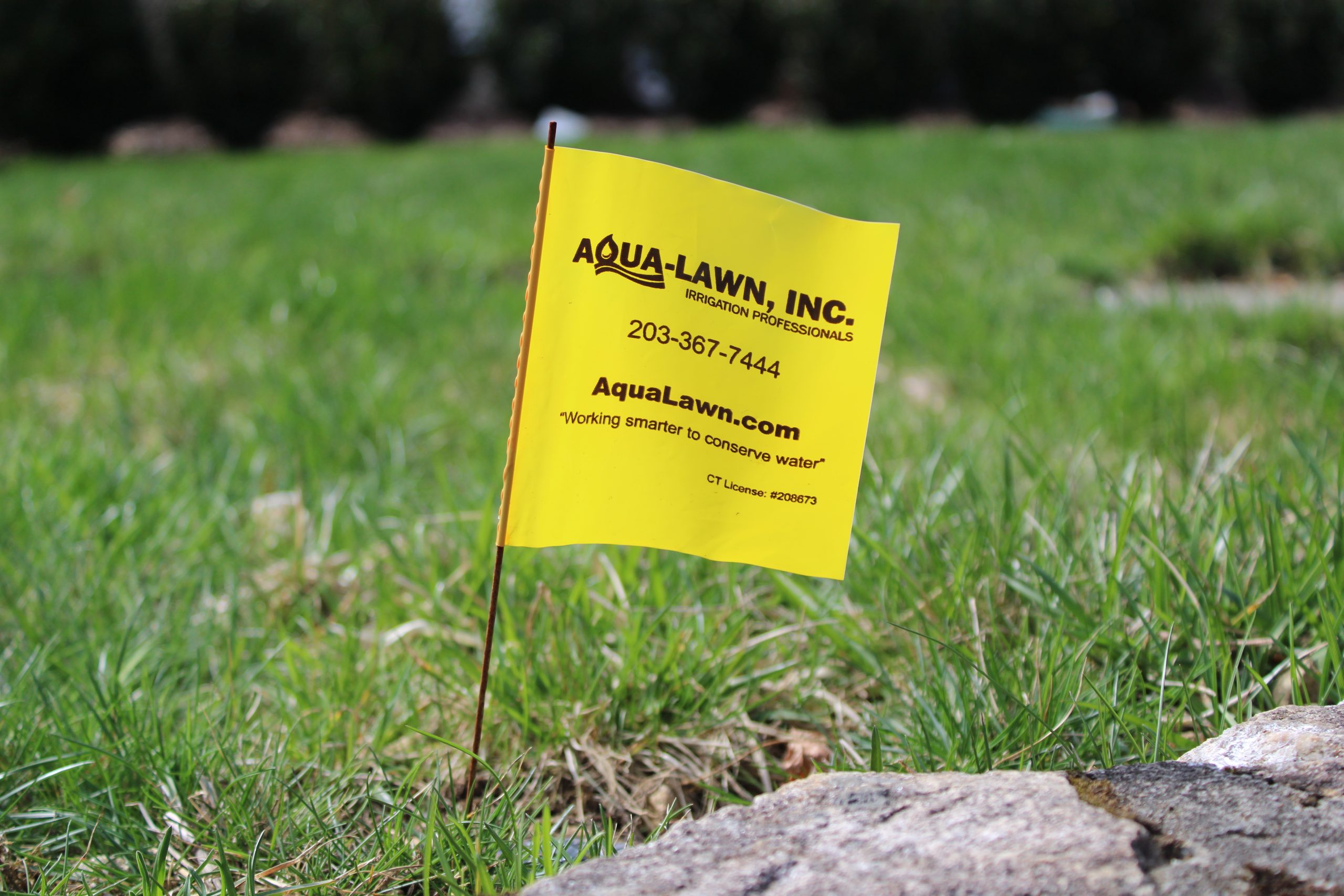 How Efficient Irrigation Keeps Your Lawn Green and Healthy