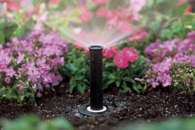 Tips for Watering Around New Plantings